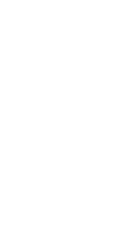 UNDP logo